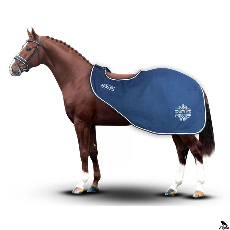 Deka na cvičení pro koně Artemisia Fleece modra