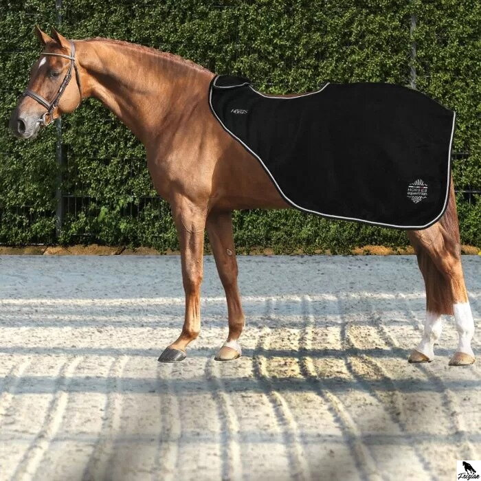 Deka na cvičení pro koně Artemisia Fleece černá