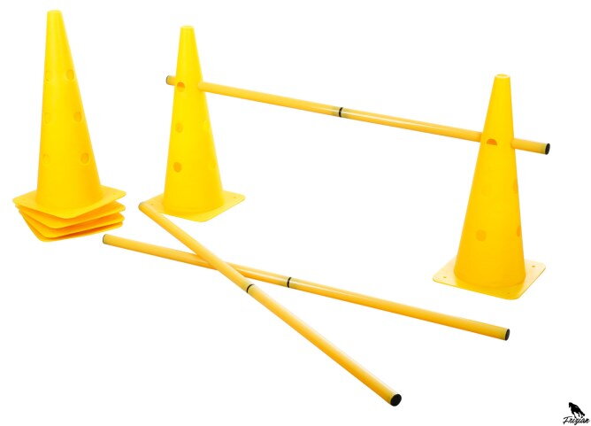 Pylonový překážkový set Agility