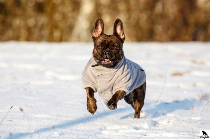 Flísový kabát Bern