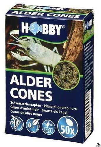 Alder Cones 50x