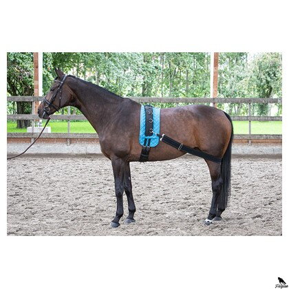 Elastický lonžový pás