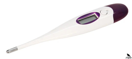 Digitální klinický teploměr