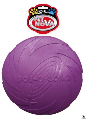 RUB-DISC-VIOLET-22CM