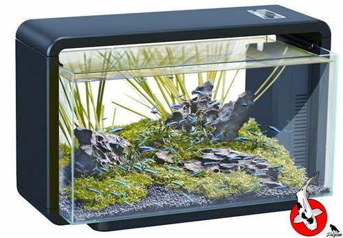 SF HOME 30 AQUARIUM černé