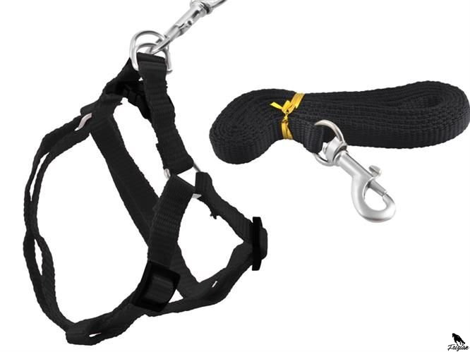 Vodítko + postroj pro malé psy a kočky S