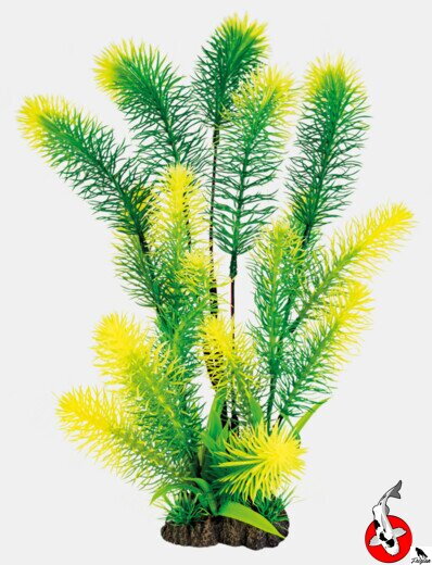 ART ROSTLINA 40CM MYRIPHYLLUM