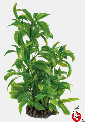 ART ROSTLINA 25CM DRACAENA