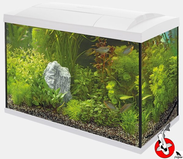 SUPERFISH START 70 TROPICKÁ SÚPRAVA BÍLÁ