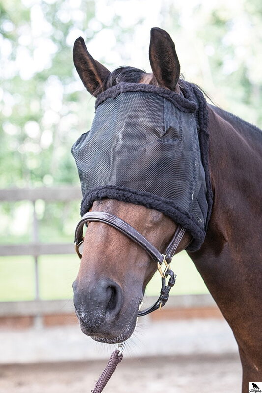 Maska/bez uší-černá