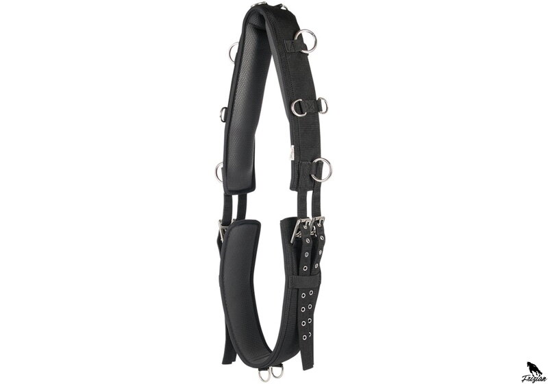 Lonžovací obrušník