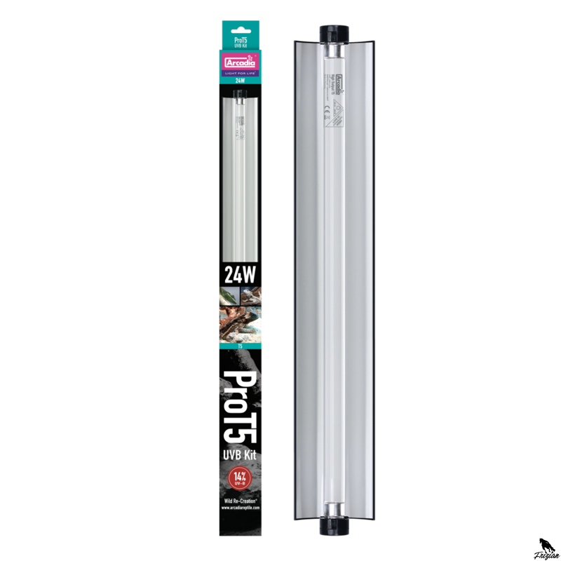 ARCADIA PRO T5 SET DRAGON 14% UVB 24 WATT
