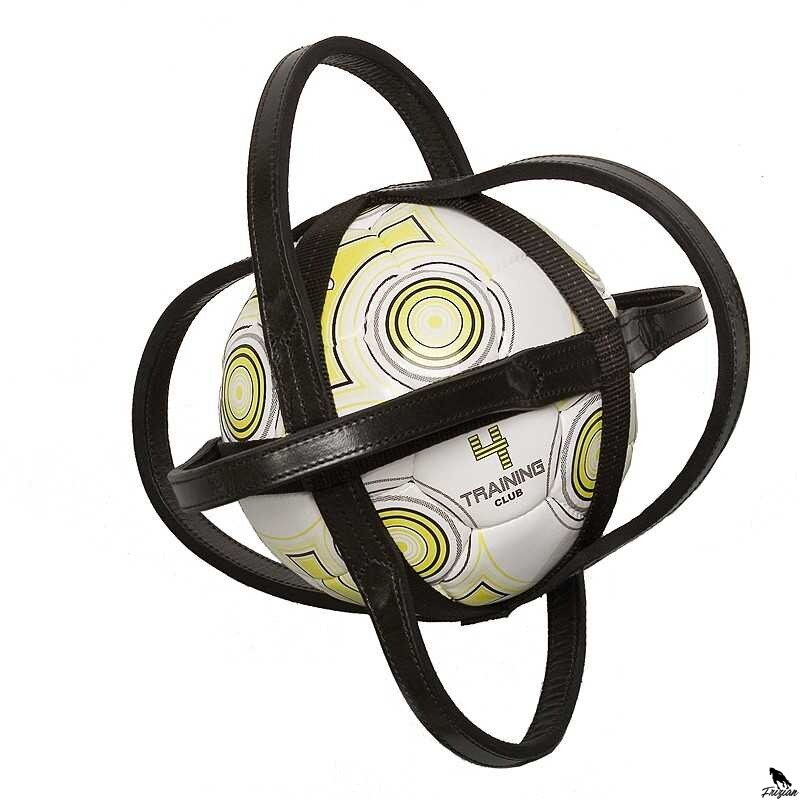 HORSEBALL WEB + BALL 4