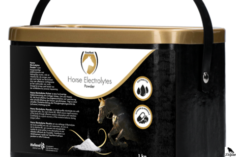 Elektrolyty pro koně