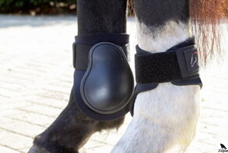 Bandáže, podložky, kamaše a zvony pro koně