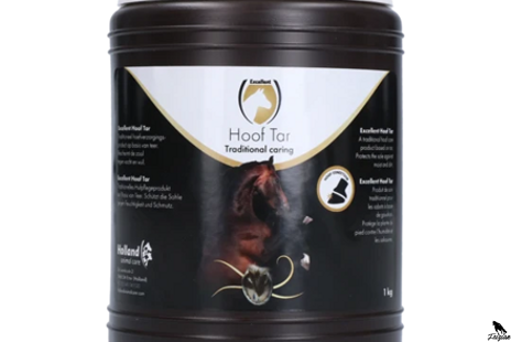 Péče o kopyta koní