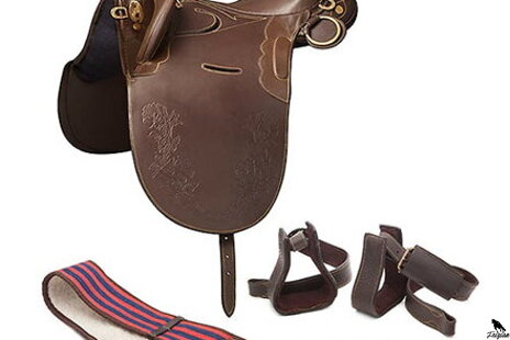 Australské ježdění