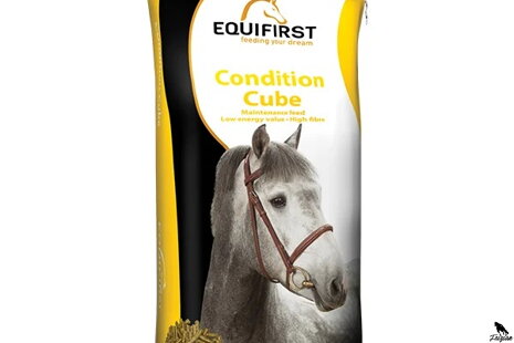 Význam bílkovin v krmné dávce koně